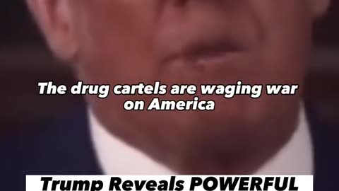 Trump Reveals POWERFUL PLAN to FIGHT the Mexican Cartels!