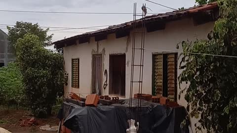 Cat Climbs Structure to Try to Catch Mouse