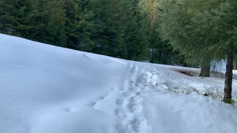 Wall O' Snow – Central Oregon – Bandit Springs Sno-Park – 4K