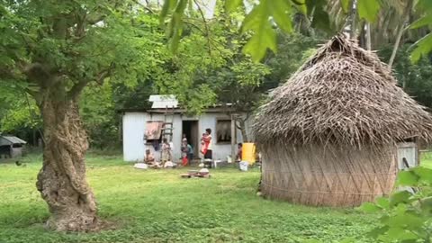 Organic farming culture becomes burgeoning business for Fiji islanders