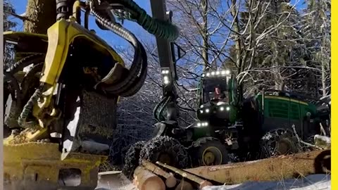 Tree Harvesting