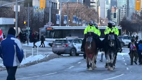 Freedom rally 2022 Toronto