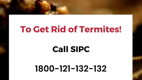 Termite Control Hyderabad