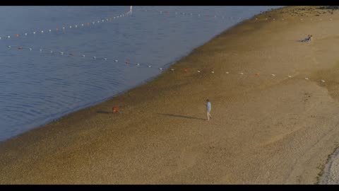 Aerial View of a Caucasian Man Playing With Golden Retriever Dog on Beach Shore