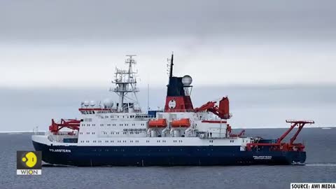 Unique discovery: 60 million icefish discovered in Antarctica | Icefish Colony