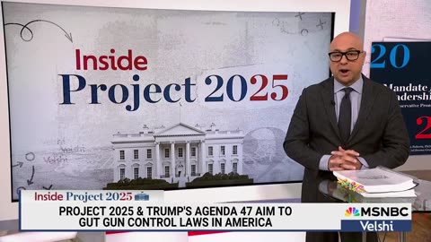 ‘U.S. has more gun dealers than McDonald’s & Starbucks combined’: Project 2025 will make it worse