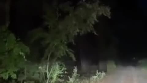 Woman has a scary encounter with something screaming in the woods