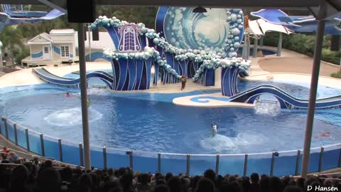 The Complete SeaWorld Dolphin Show