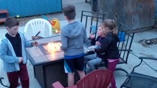 Roasted Marshmallows