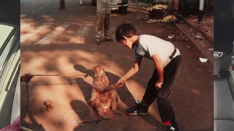 Time Capsule - India Trip 1989-1990-ish