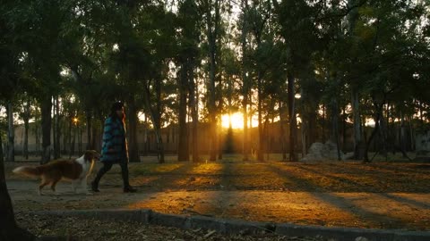 A woman walks through a park with a dog