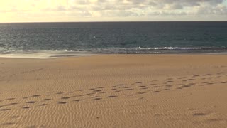 Maunaloa, HI — Papohaku Beach #1