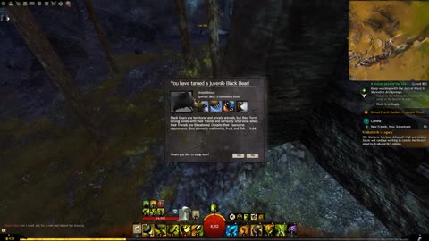 Gw2 - Ranger Juvenile Black Bear Pet Location (Blazeridge Steppes)