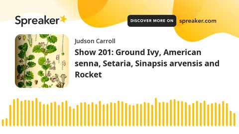 Show 201: Ground Ivy, American senna, Setaria, Sinapsis arvensis and Rocket