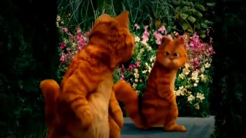 Baby cute cat cartoon video #justcool