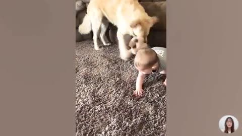 funny baby videos