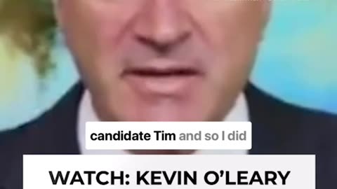 Kevin O'Leary details the draconian Democrat economic policies in Minnesota