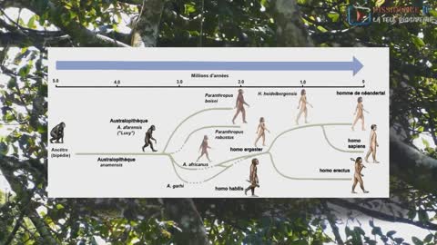 La tromperie de la théorie de l'évolution (Darwin)