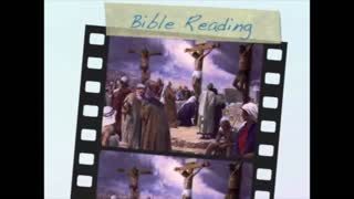 November 19th Bible Readings