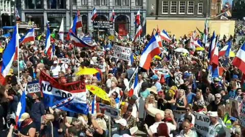 SVT vakna, Dutch Farmers Amsterdam