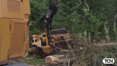 Maine Loggers Review the Cybertruck