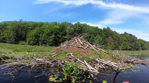 Beaver Lodge