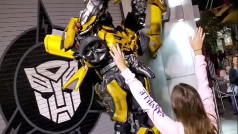 Bumblebee dances for me