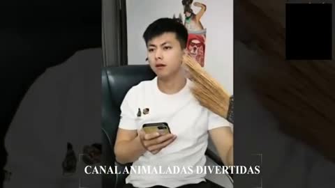 Videos GRACIOSOS y DIVERTIDOS😂 , PERROS🐶 y GATOS🐱