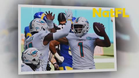 Miami, The Dolphins News Today: Miami pro Day, Howard Question, Dolphin's Future.