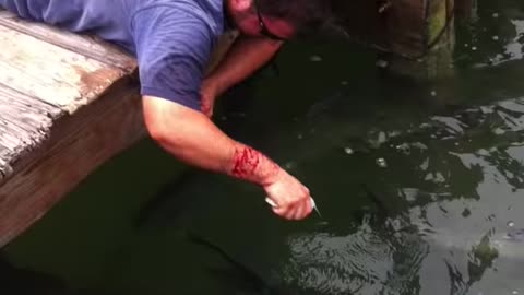 A fish caught Man's hand