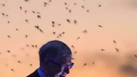 The Next Pandemic, why was Bill Gates releasing so many Mosquitos, another agenda at play？