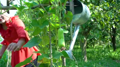 Countryside life TV: We cook fish with free vegetable from vegetable garden - Yummy fishes cooking