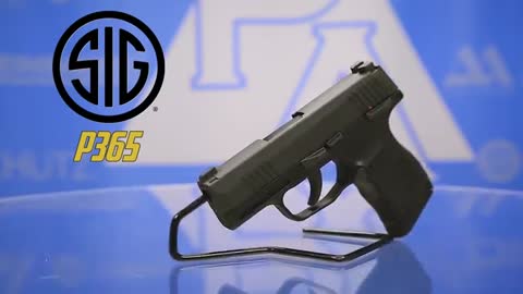 P365 AIR Pistol