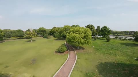 Aerial drone shot of Hangzhou Botanical Garden（1）