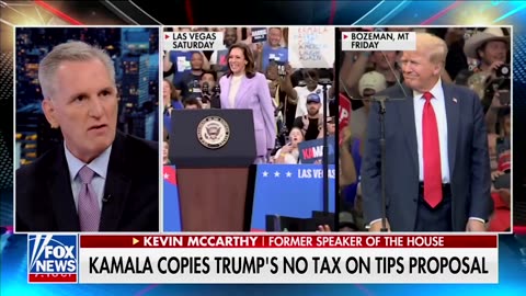 'Kamala Chameleon': Fmr Speaker Of US Says Kamala's Strategy Is To Emulate Trump