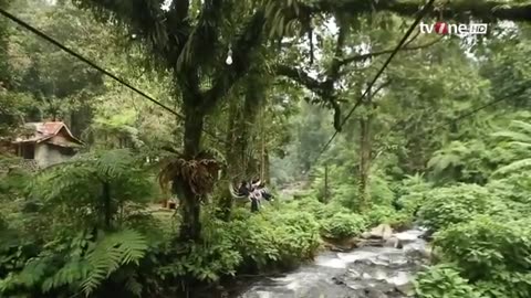 Ancient Valley Suspension Bridge, a stunning natural wonder