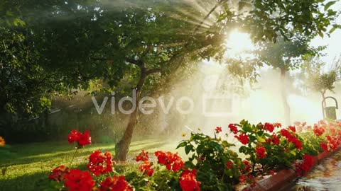 The Rays Of The Sun Illuminate A Small Garden With Fruit Trees And Flowers Where The Irrigation Syst