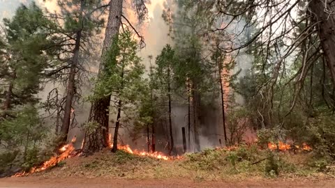 California's 'Park Fire' explodes into largest wildfire in US