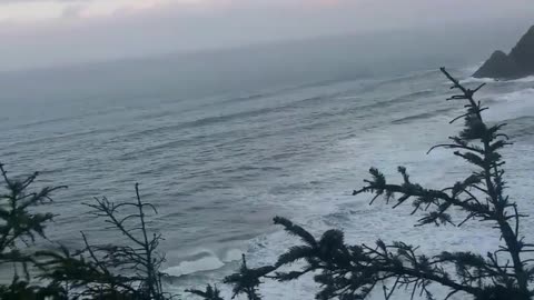 Sea Lion caves across from Heceta Lighthouse Oregon Coast