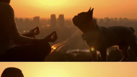 Woman meditating with her dog in the sunset