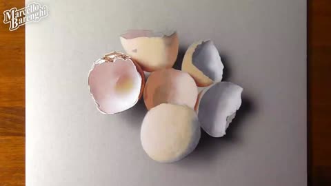 Describe The Broken Shape Of The Eggshell