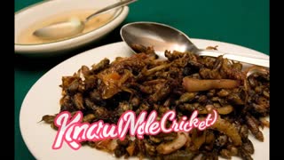 Philippines BEST EXOTIC Foods