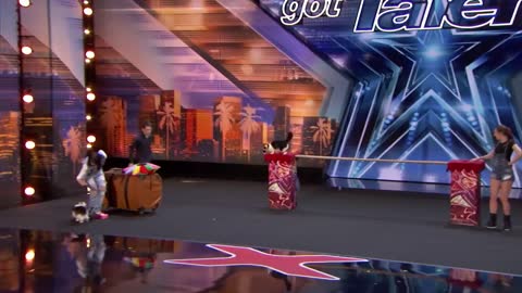 The Savitsky Cats: Super Trained Cats Perform Exciting Routine - America's Got Talent 2018