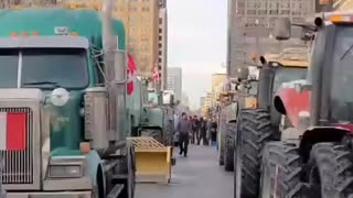 NOW - Trucks and farm tractors begin to arrive in Toronto