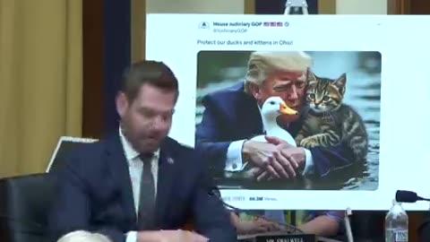 Eric Swalwell loses his mind over AI-generated meme of Trump with duck and cat