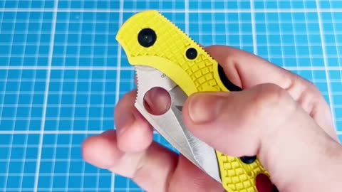 Can you fidget flick a back lock knife? - Spyderco Dragonfly Salt H1 Steel, Yellow FRN #spyderco