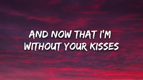 Shawn Mendes - Stitches (Lyrics)