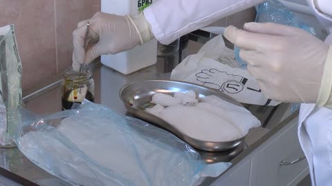 A Medical Practitioner Dipping A Cotton In A Solution For Wounds