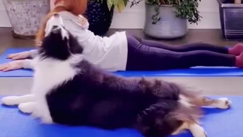 YOGA WITH DOG