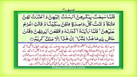 Holy Quran- Para 12 - Juz 12 Wa ma min dabbah HD Quran Urdu Hindi Translation